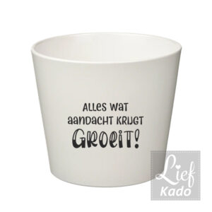 Bloempot - Alles wat aandacht krijgt groeit